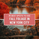 15 Best Spots to See Fall Foliage in New York City
