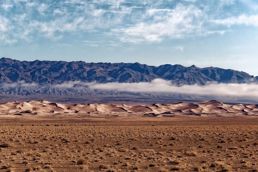 Purple mountains and golden sands in Mongolia's Gobi Desert.