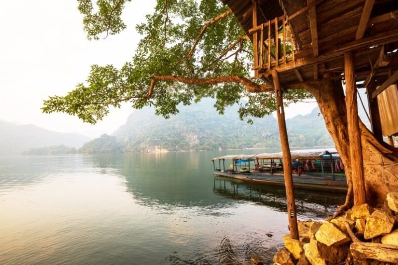 A large tree hangs over a lake in Northern Vietnam.