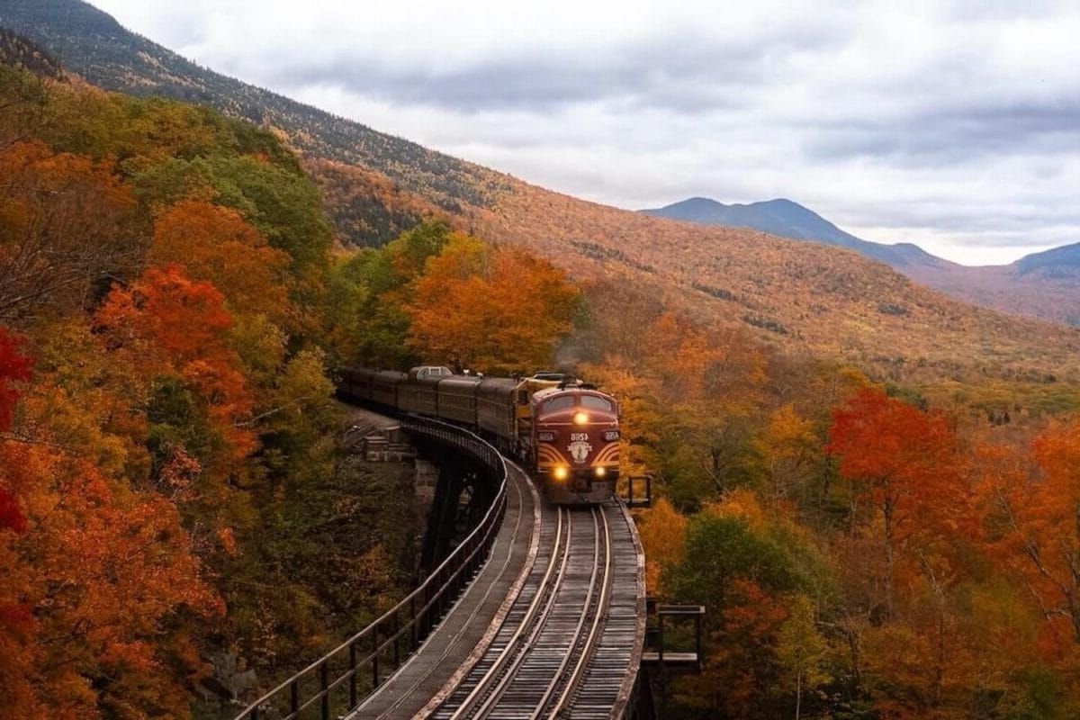train riding through orange red and green foliage trees