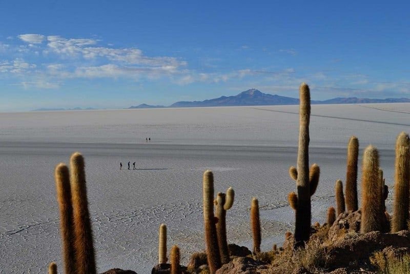 Wander the Isla Incahuasi in Bolivia.