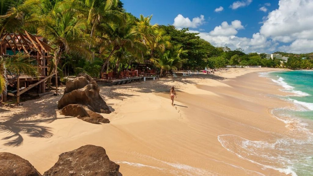 Walk down the sandy white beaches in Grenada.