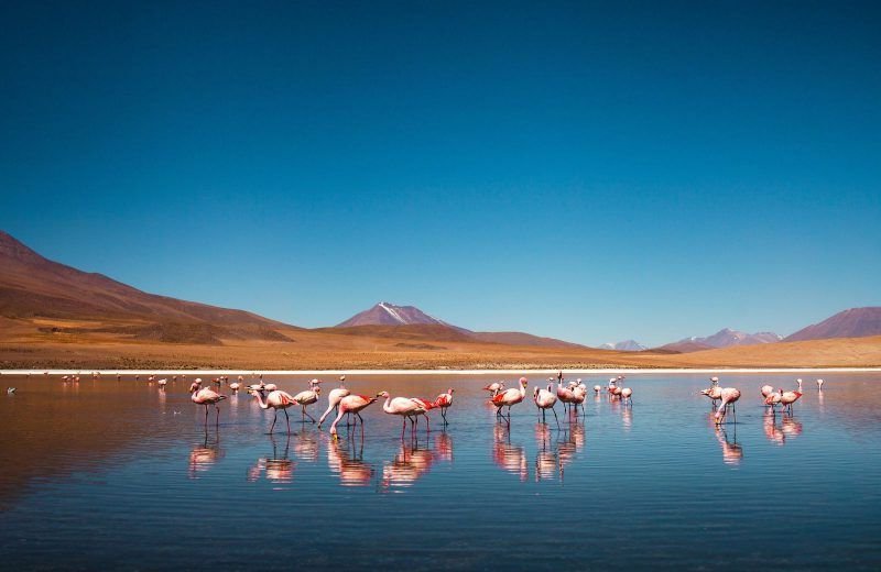 Bolivia is one of the cheapest countries to visit in South America.