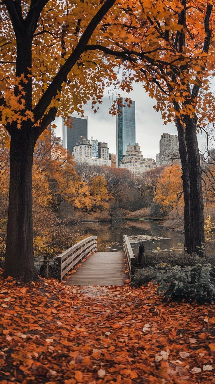 Spots to See Fall Foliage in New York City