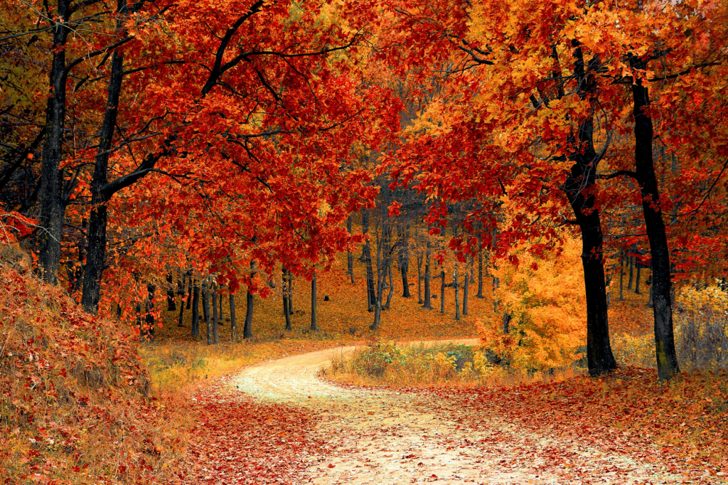 15 Best Places For Autumn Foliage in Europe