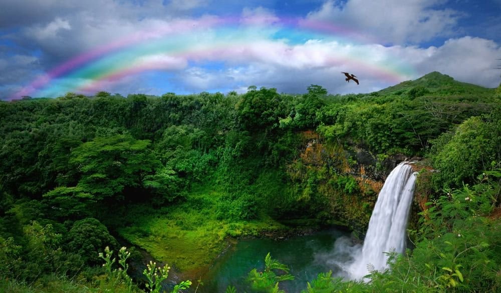 Waterfall in Kauai