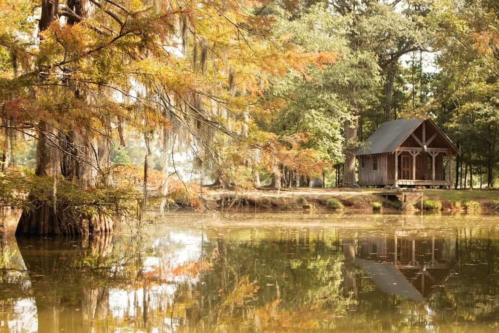 Bayou Country USA