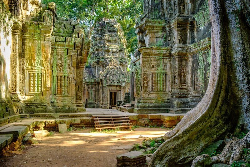 temple in cambodia with green moss and trees growing over the old temple