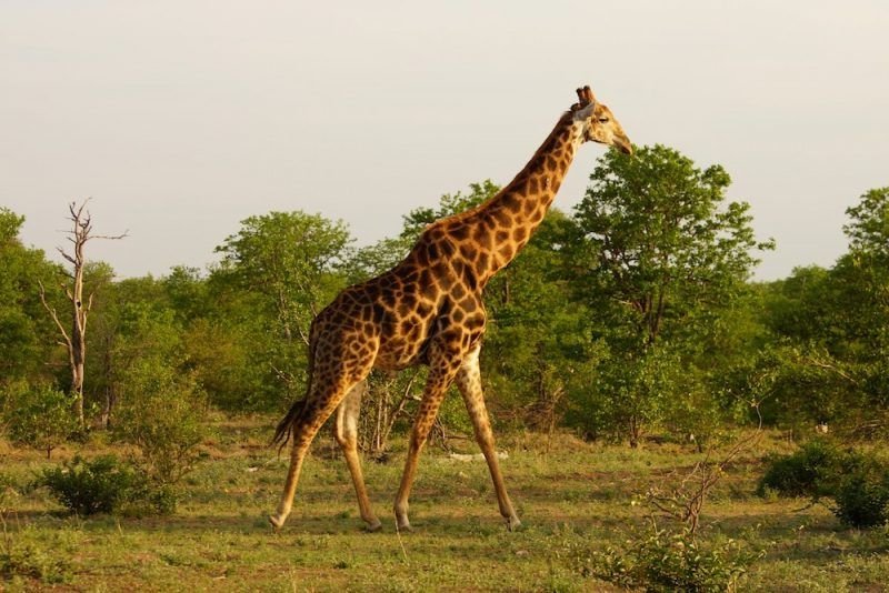 places to visit on a budget