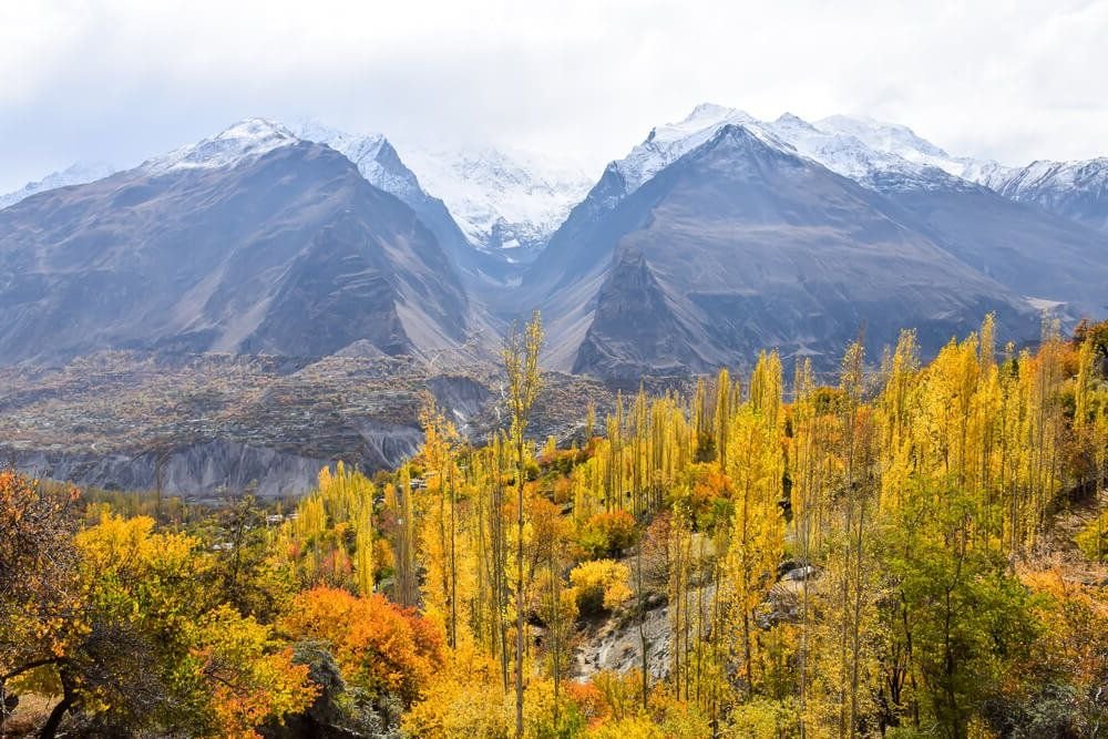 mountains in pakistan with snow cap in the fall and all sorts of autumn trees in shades of orange and yellow