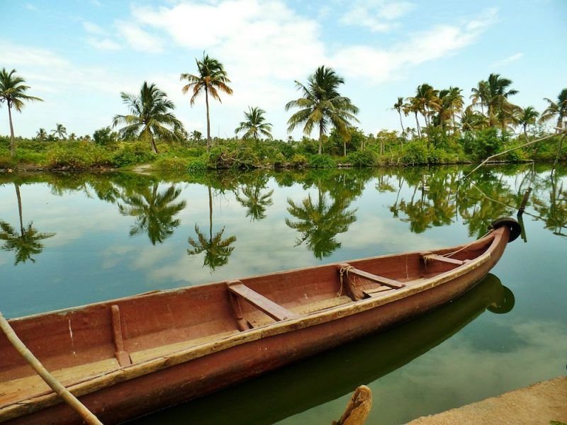 View of palm trees and clear water with a wooden boat in India