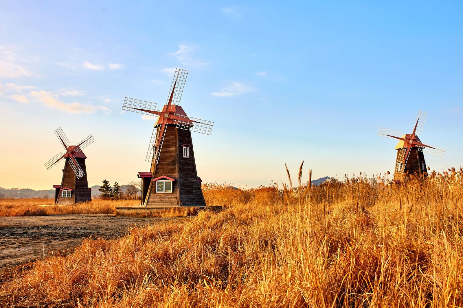 South Korea, countries you can visit on a budget