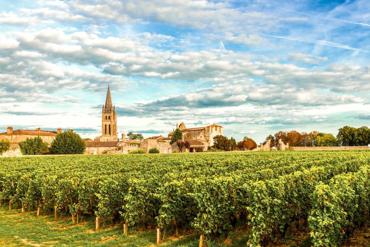 Bordeaux Vineyards France